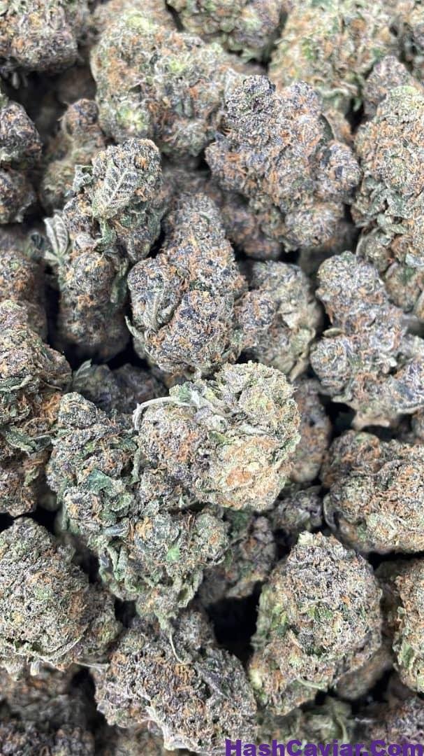 Truffle cake strain