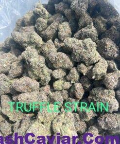 black truffle strain for sale deutschland