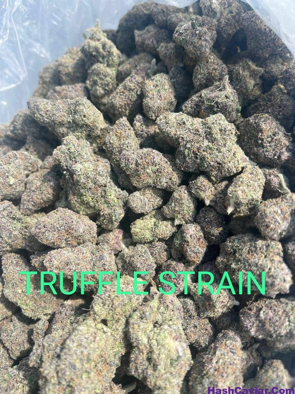 Black Truffle Strain for sale Deutschland 4