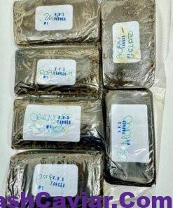 VVS Tanger Hash 4 vvs tanger hash