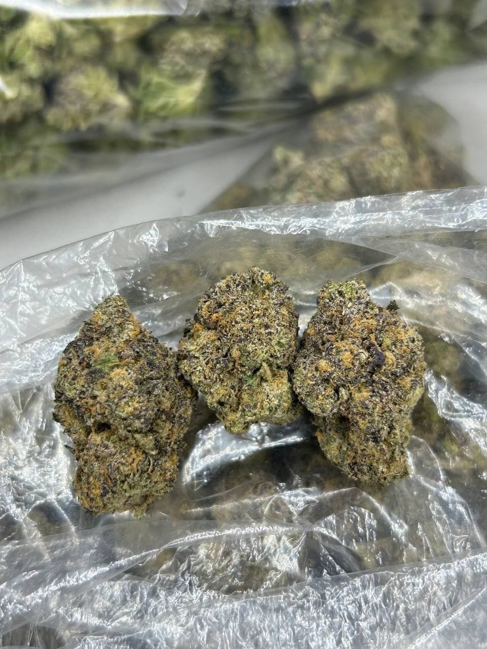 wakanda strain 1 import placeholder for 16332