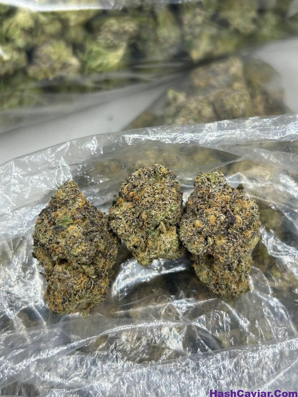 wakanda strain