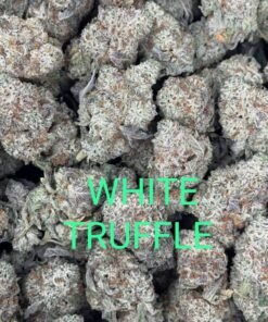 black truffle strain for sale deutschland