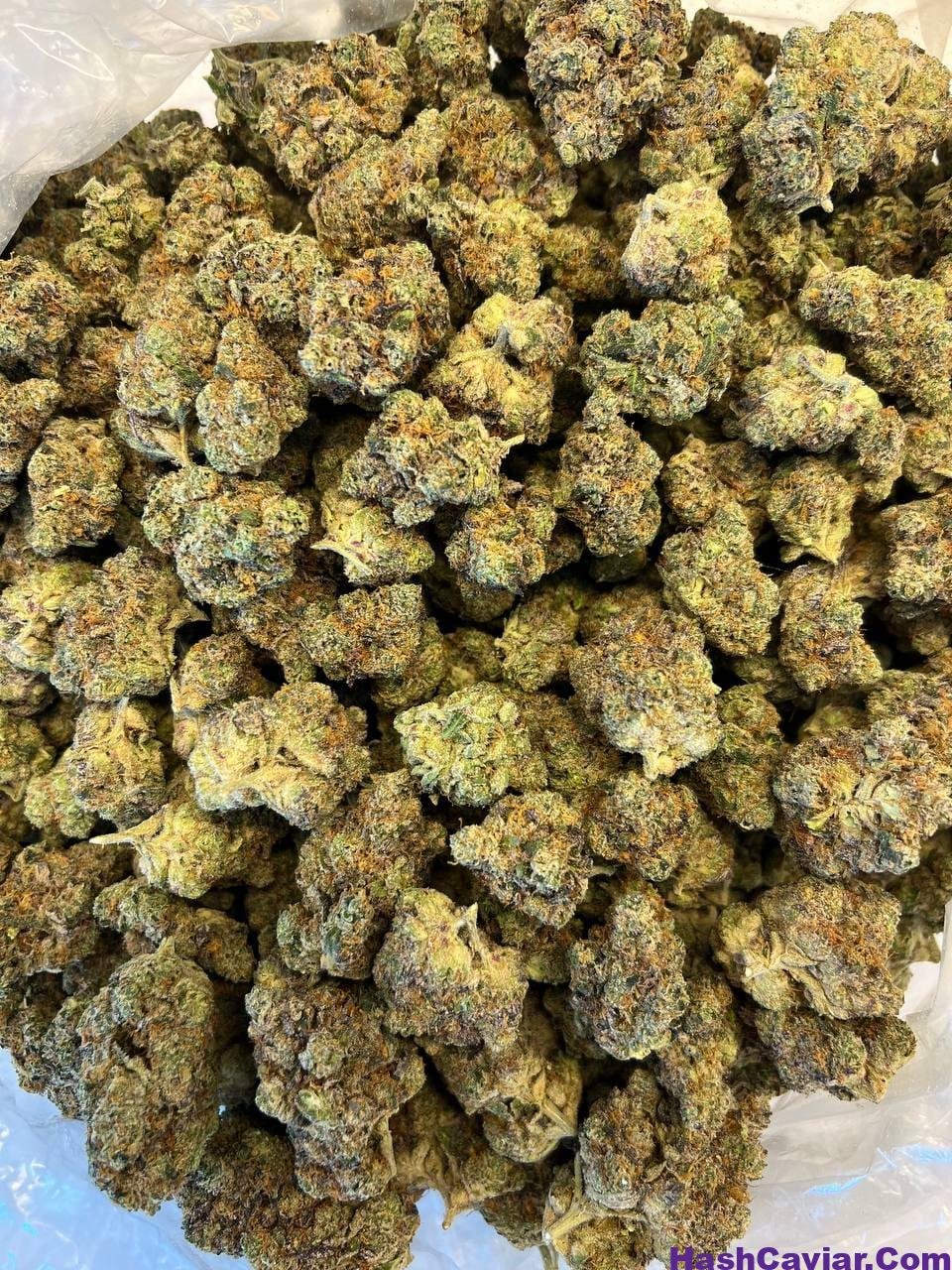 Zoap Strain